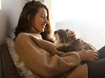 How to Care for Senior Cats: 12 Vet-Approved Tips
