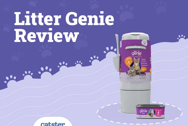 Litter Genie Cat Litter Disposal System Review 2026: A Detailed Look