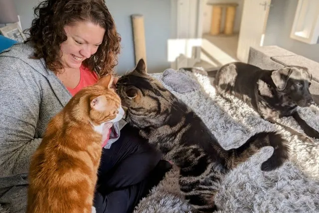 How My Cats Help Me To Switch Off and Focus on The Now