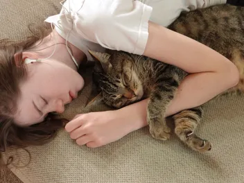 Do Cats Like Being Squished? Our Vet Answers & Explains Feline Behavior