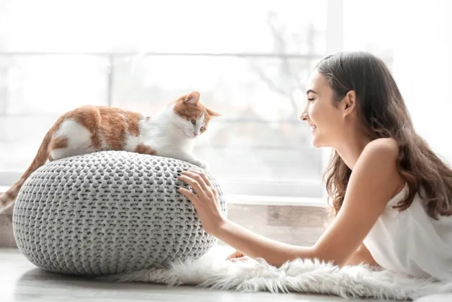 How to Speak Cat: Vet-Verified Ways of Communicating with your Kitty