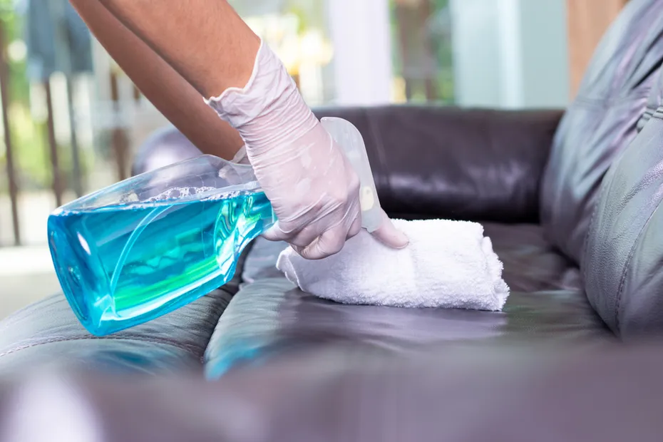 Cleaning leather sofa spray deterrent