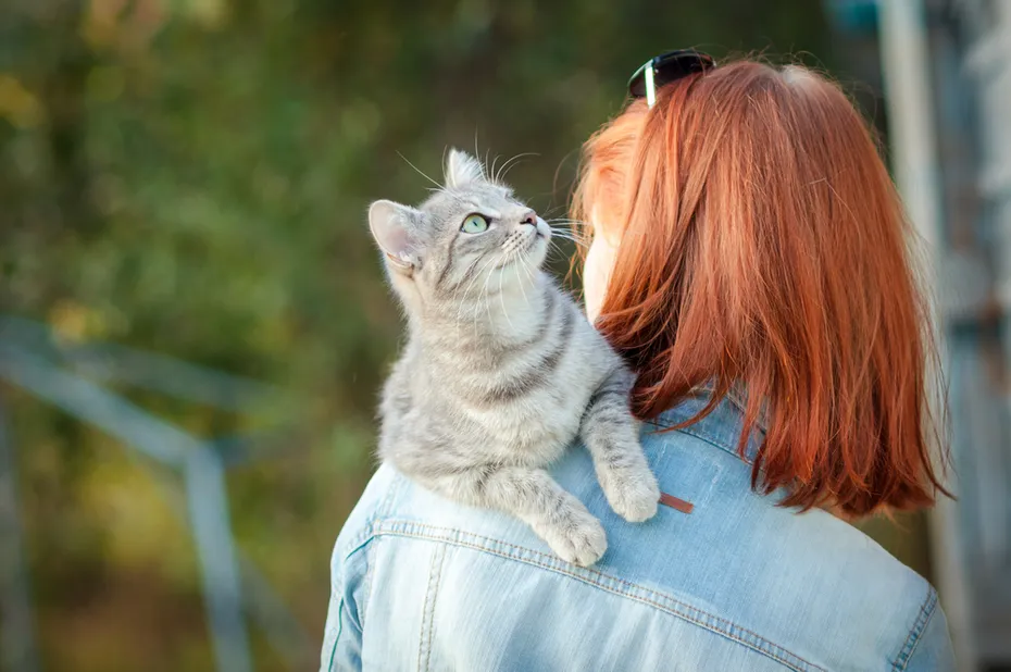 cat on shoulder