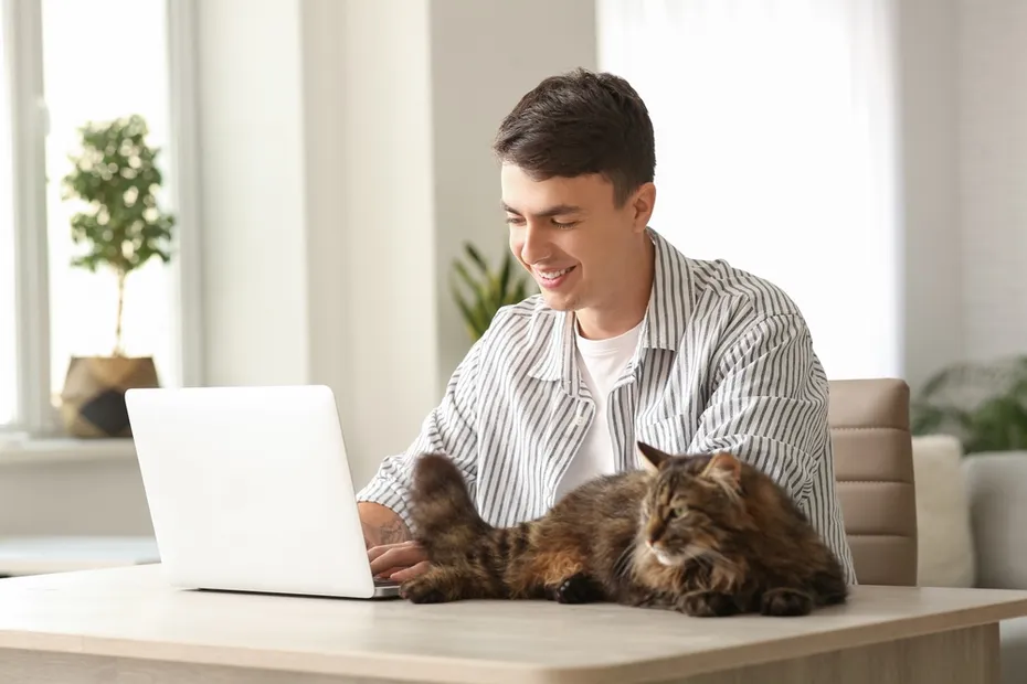 Young man using laptop at table with cute cat