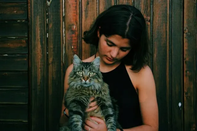 Do Cats Get Lonely in the Same Way That Humans Do? Our Vet Answers