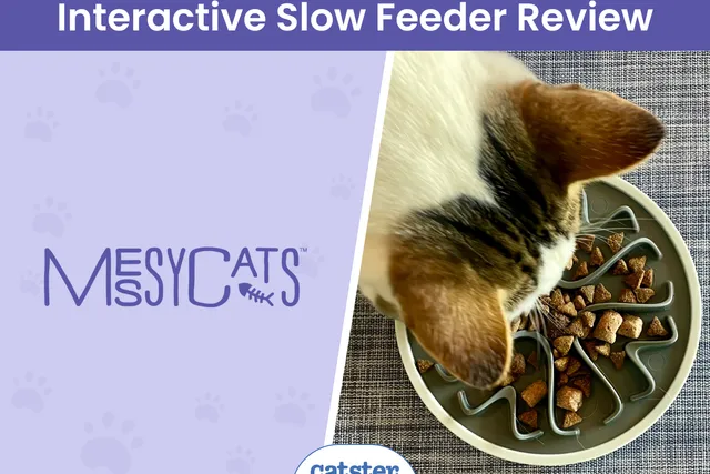 Messy Mutts Messy Cats Interactive Slow Feeder Review 2026: A Detailed Look