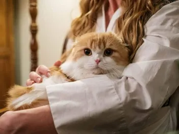 How Old Do You Need to Be to Adopt a Cat? Vet-Reviewed Guidelines & Info