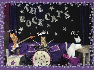 Meet Rock Cats: The Chicago's Meowsical Sensation