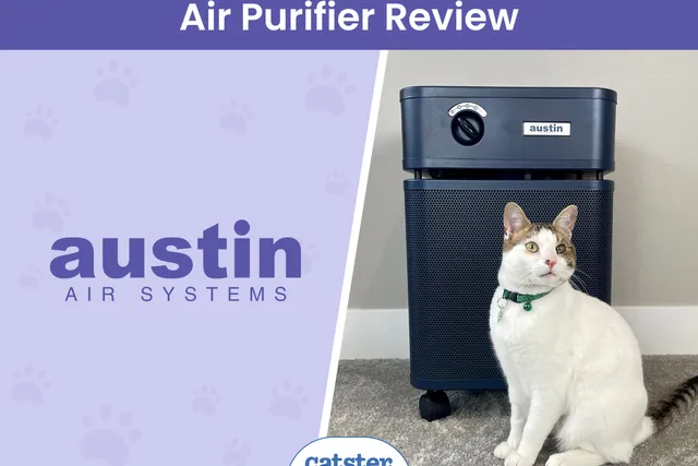 Austin Air HealthMate Review 2026: A Detailed Look