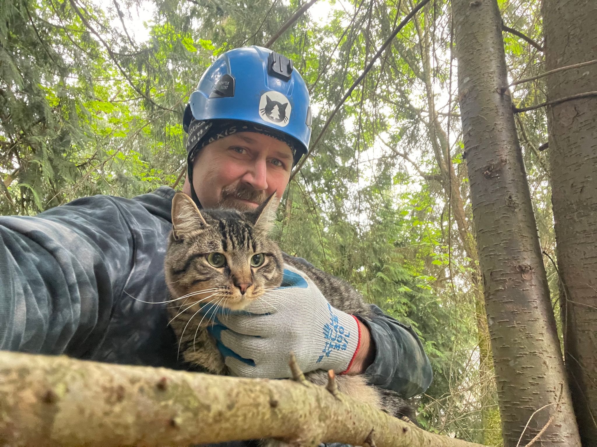 Canopy Cat Rescue: The Team Rescuing Cats From the Treetops | Heroes of the Pet World