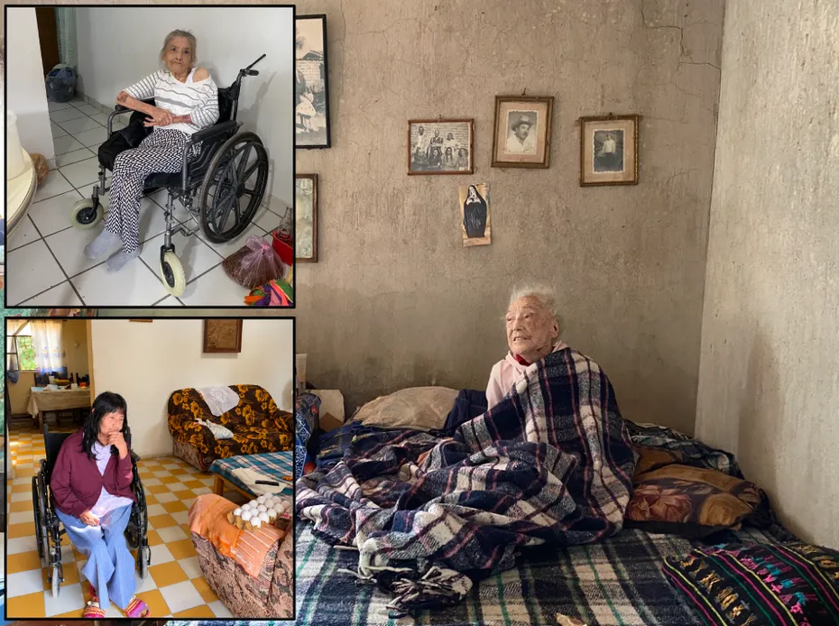 Julie Wittmann, evcil hayvanlara yardım için gitti