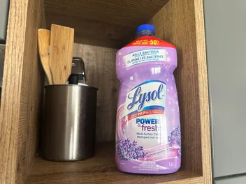 Does Lysol Kill Fleas on Cats? Vet-Verified Facts & Safety Guide