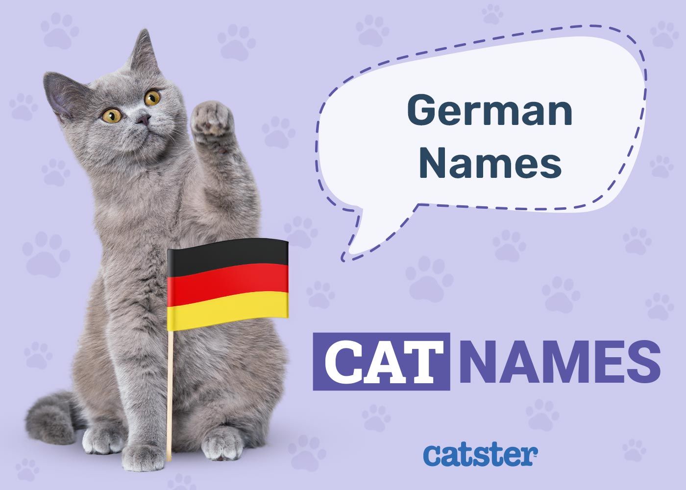 German Cat Names