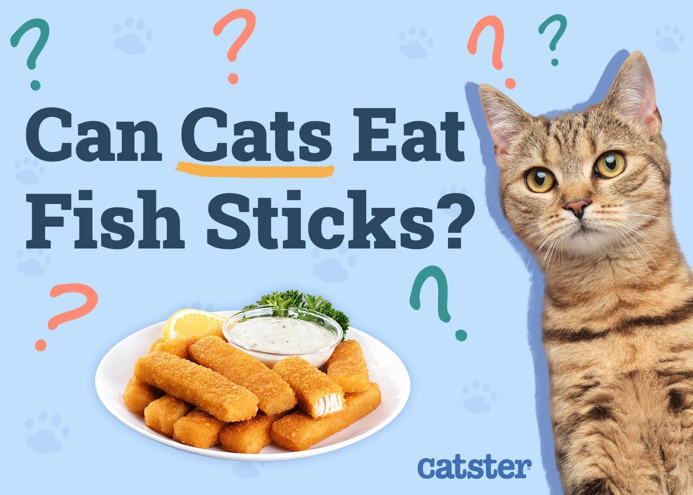 Can Cats Eat Fish Sticks