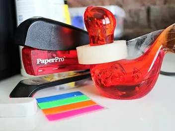 Why Does My Cat Eat Tape? 6 Vet-Reviewed Reasons & What to Do