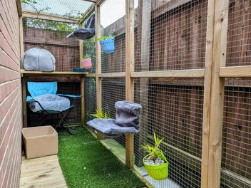 Creating Outdoor Spaces for Indoor Cats: Dr Karyn's Catio (with Video)