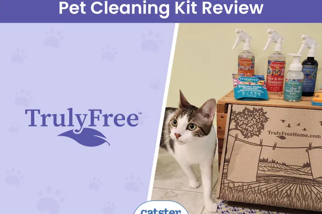 Truly Free Cleaning Products Review 2026: A Detailed Look