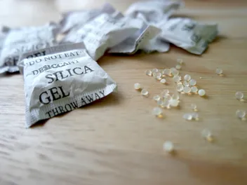 Don’t Panic Yet: What Happens When Cats Eat Silica Gel Packs