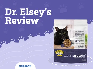 Dr. Elsey's Cat Food Clean Protein Review 2026: Recalls, Pros & Cons