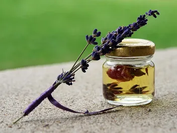 Does Lavender Oil Kill Fleas on Cats? Vet-Reviewed Effectiveness & Safety Explained