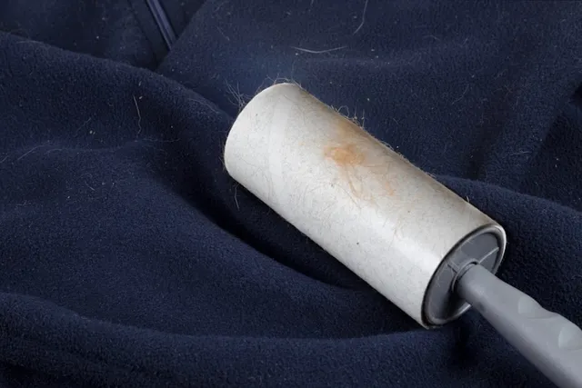 How to Get Rid of Cat Hair on Clothes: 4 Easy Ways