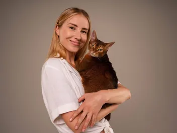 Where to Find a Healthy, Happy Purebred Kitten - Without the Risks