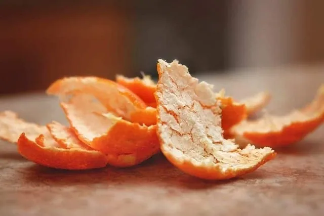Do Orange Peels Keep Cats Away? Vet-Reviewed Facts & Alternatives