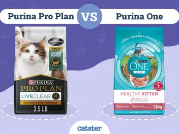 Purina Pro Plan vs Purina One Cat Food: 2026 Comparison