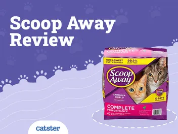 Scoop Away Cat Litter Review of 2026: Recalls, Pros & Cons