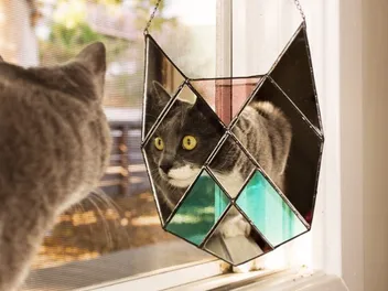 We Chat With Janel Foo, a Creator of Artsy Cat Mirrors