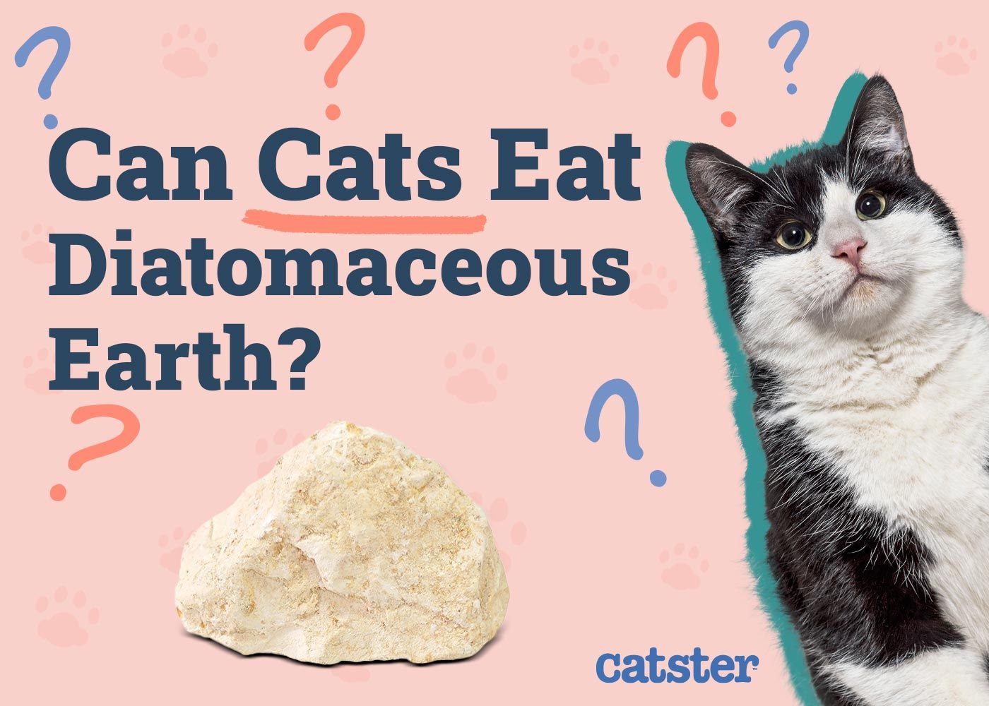 Can Cats Eat Diatomaceous Earth