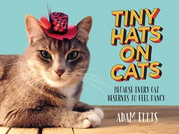 Adam Ellis Talks About His Photo Book "Tiny Hats on Cats"