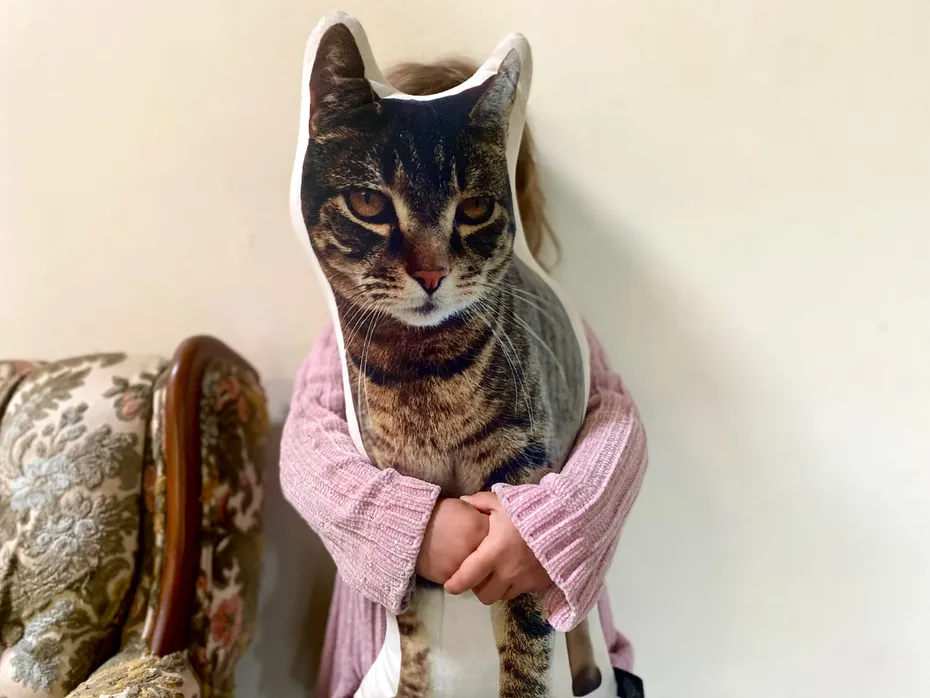 All About Vibe Custom Cat Pillow - little girl hugging the product