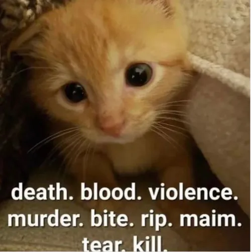 He Chooses Violence