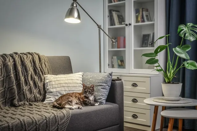 Are Heat Lamps Safe for Cats? Vet-Verified Safety Facts, Tips & Alternatives