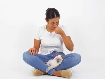 How to Get Rid of Cat Smell in an Apartment: 10 Effective Options