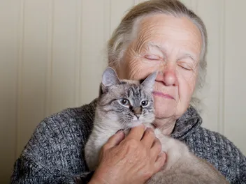 How Geriatric Felines Are Helping to Unlock the Mysteries of Alzheimer's Disease