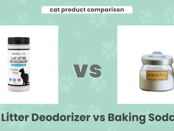 Litter Deodorizer vs Baking Soda: Our 2026 Comparison, Pros & Cons