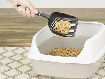 Pine Cat Litter: Pros, Cons, & Things to Know