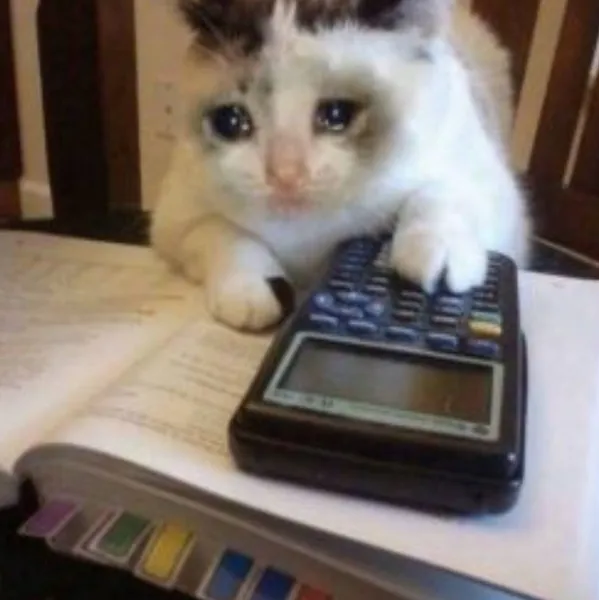 Math Homework Cat