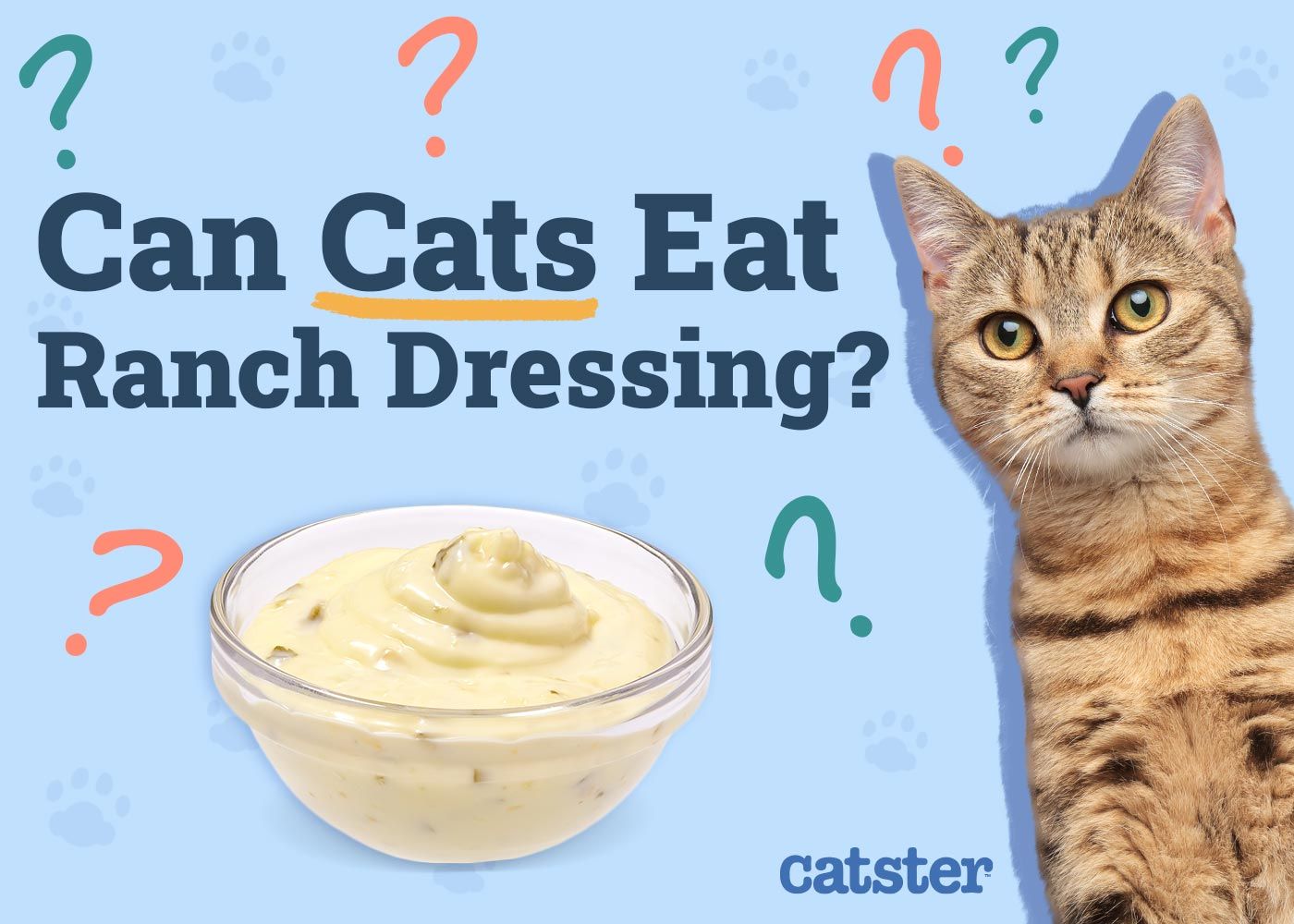 can cats eat blue cheese dressing Ranch Dressing? Vet-Approved Nutritional Facts & FAQ — Catster Ranch dressing