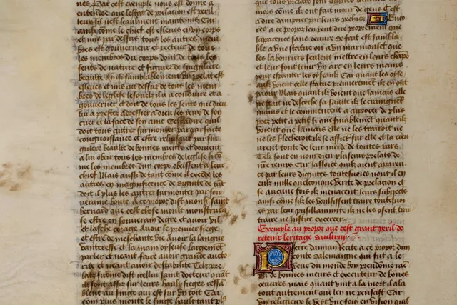 Paws on Parchment - Proof That Cats Have Been 'Helping' Writers for Centuries
