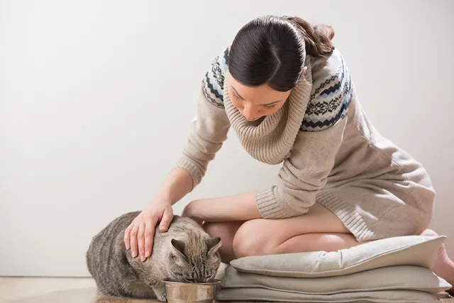Why Does My Cat Want Me to Watch Her Eat? Vet-Verified Facts & Info