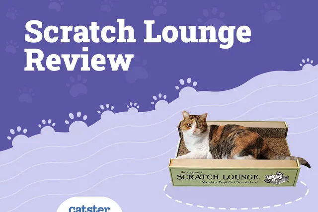 Scratch Lounge Review 2026: Pros, Cons & Verdict
