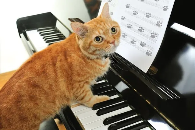 "Play Him Off, Keyboard Cat!" Why Did It Go So Viral?