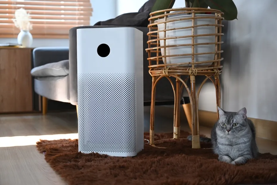 cat-resting-near-air-purifier