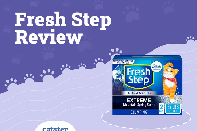 Fresh Step Cat Litter Review of 2026: Recalls, Pros & Cons