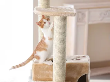 8 Best Kitty Cat Condo Cat Trees in 2026 – Reviews & Top Picks