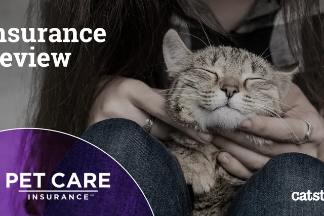 Pet Care Insurance Review 2026: Pros, Cons & Verdict