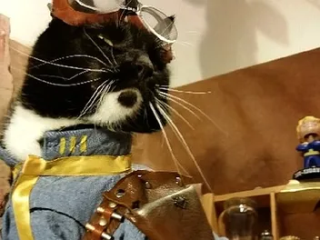 Cosplay for Cats: We Chat With Freyu About Cats in Costume